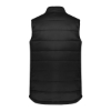 Picture of Oporto Men's Alpine Vest